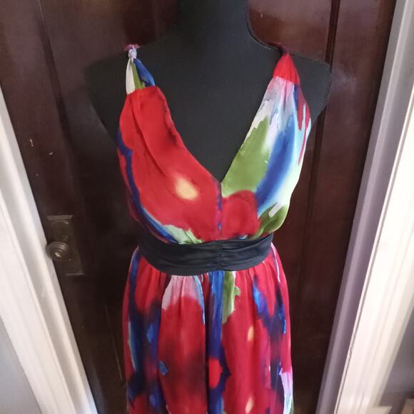 The Limited Empire Waist Dress Watercolor Tie Dye Red Poppy Floral Chiffon Sz 4 - Picture 8 of 11